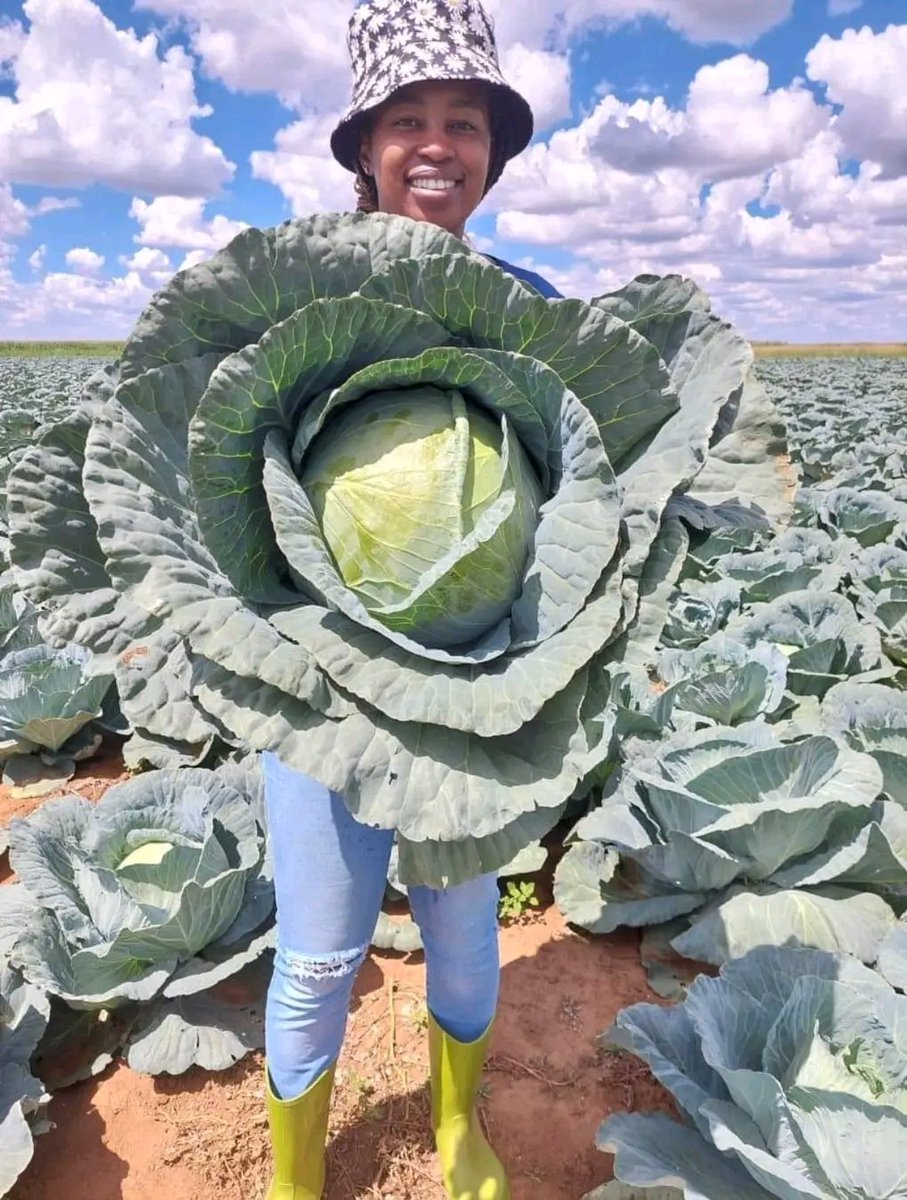 AGRICULTURE NOTES tweet media