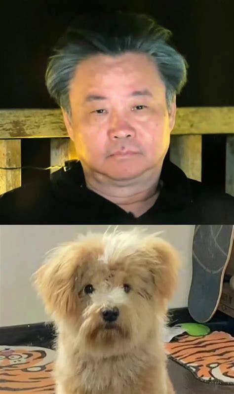 fe hei #蓝v互关,Follow me! tweet media