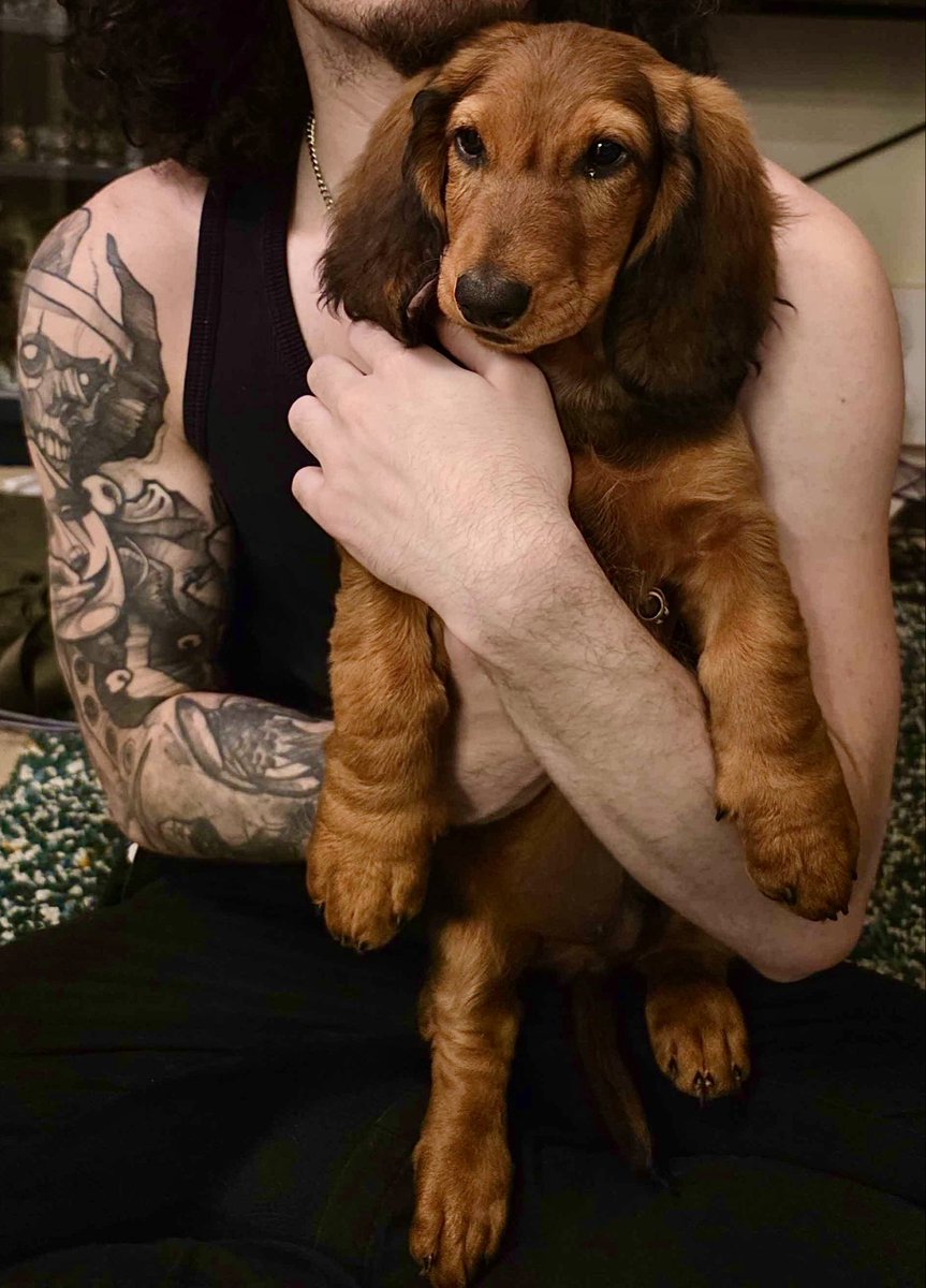 Commander Connor tweet media