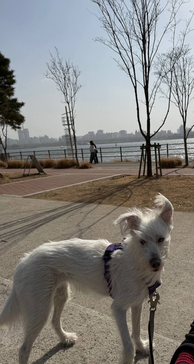 ๐๋ฒ๋ฌด๋ฒ์ธ ์ด์ฑ๐ฅ tweet media