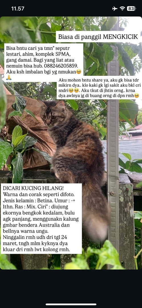 Samarindabaseee-nya 3 tweet media