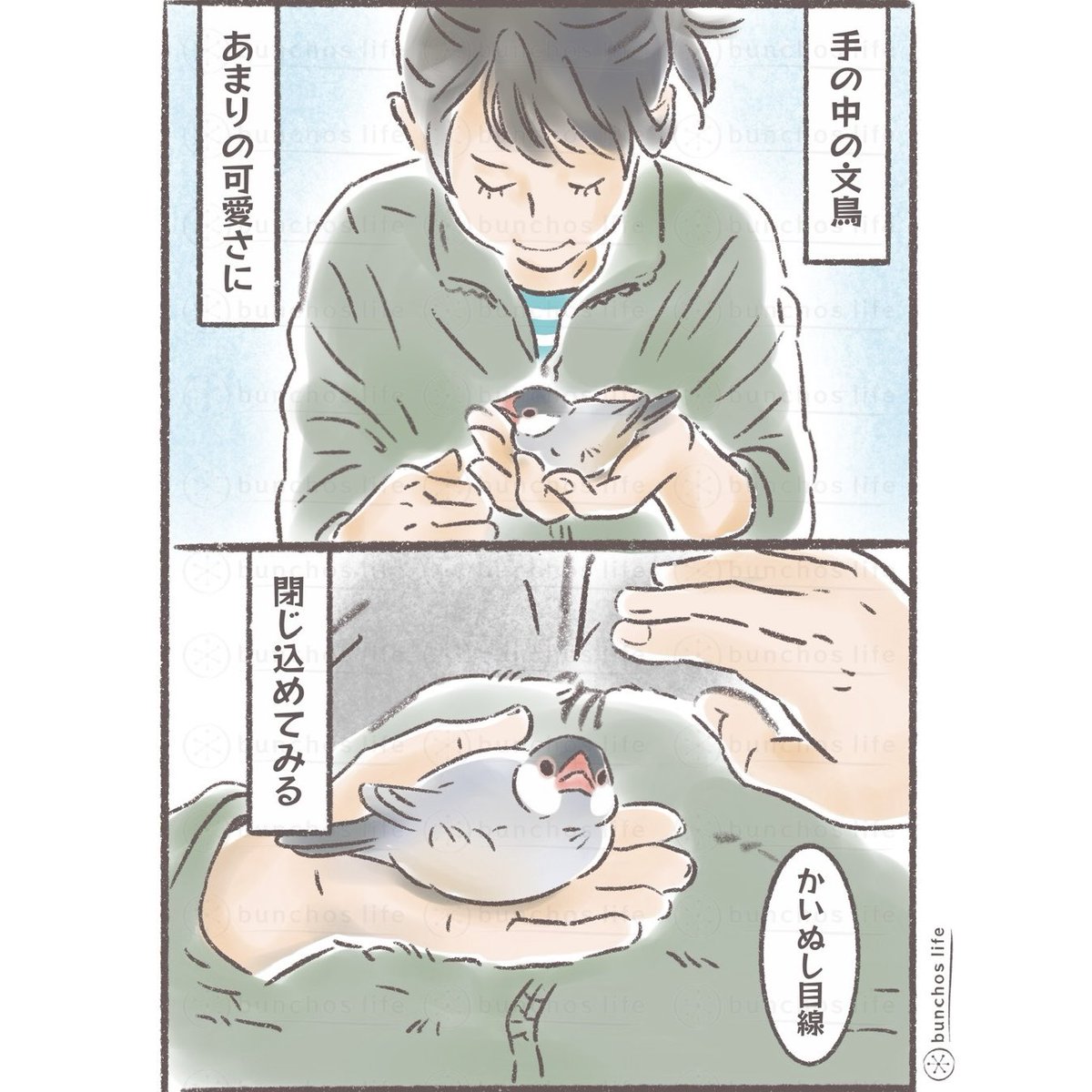 こむぎ🕊️ tweet media