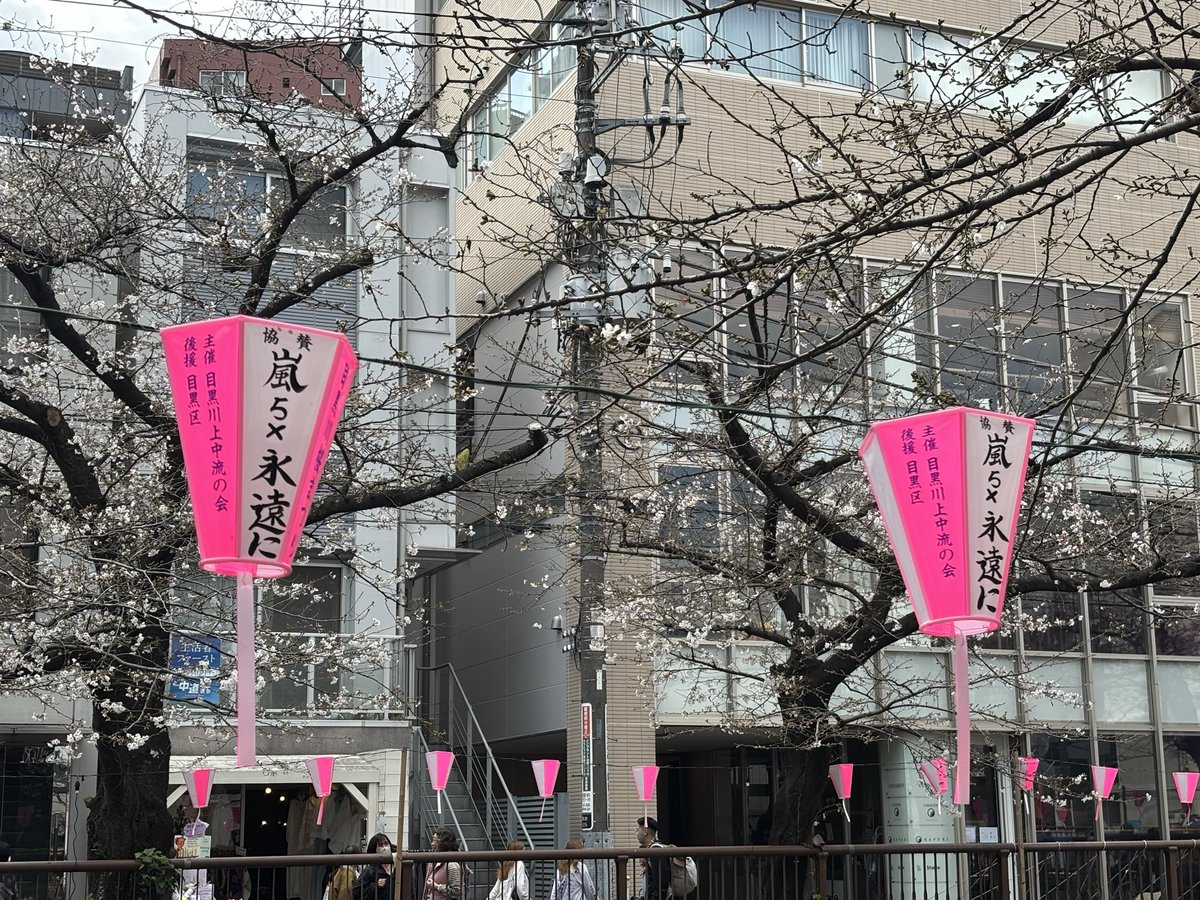 DAIBAKUTO tweet media