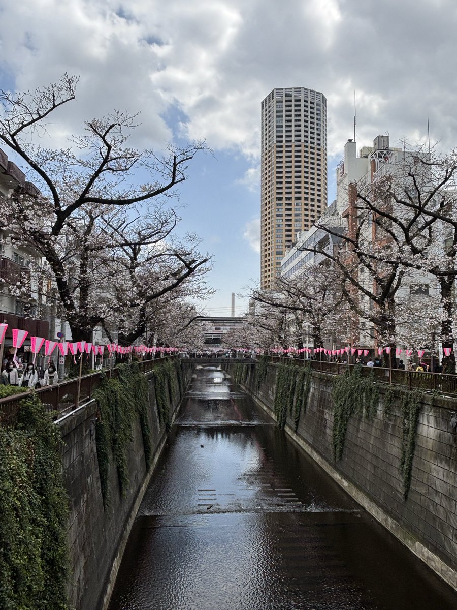 DAIBAKUTO tweet media