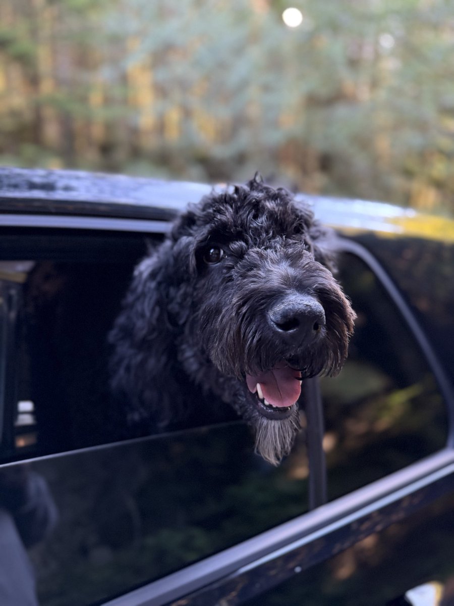 CryptBro 🇺🇸 tweet media