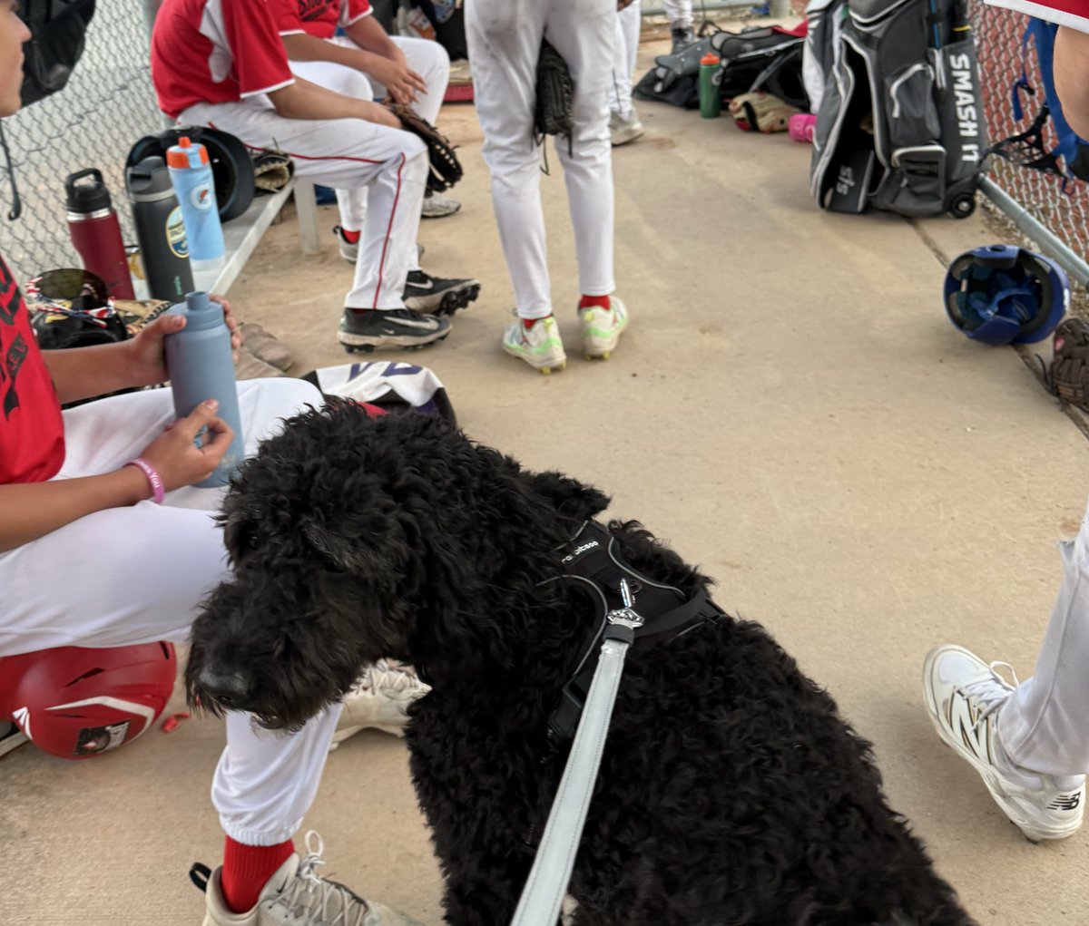 CryptBro 🇺🇸 tweet media