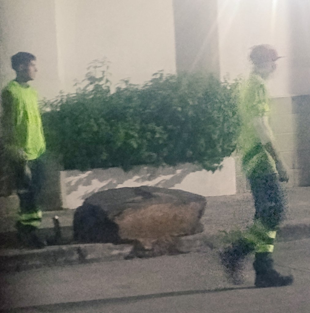 Moritz AG tweet media