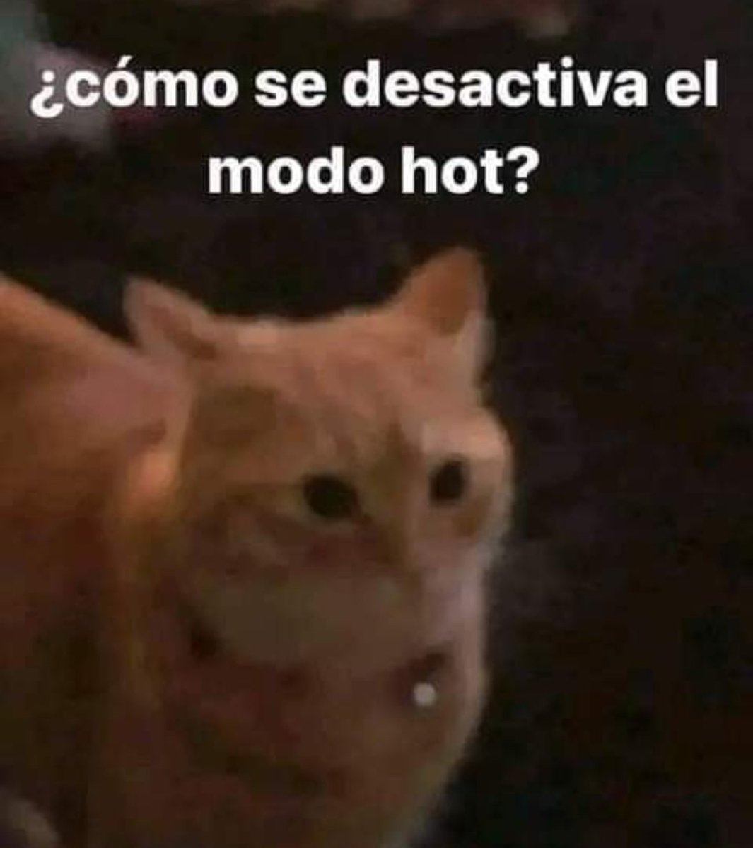 En Júpiter tweet media