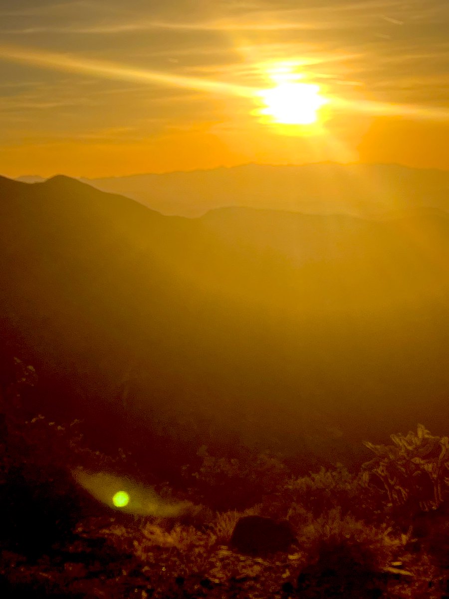 Flawwed1 tweet media