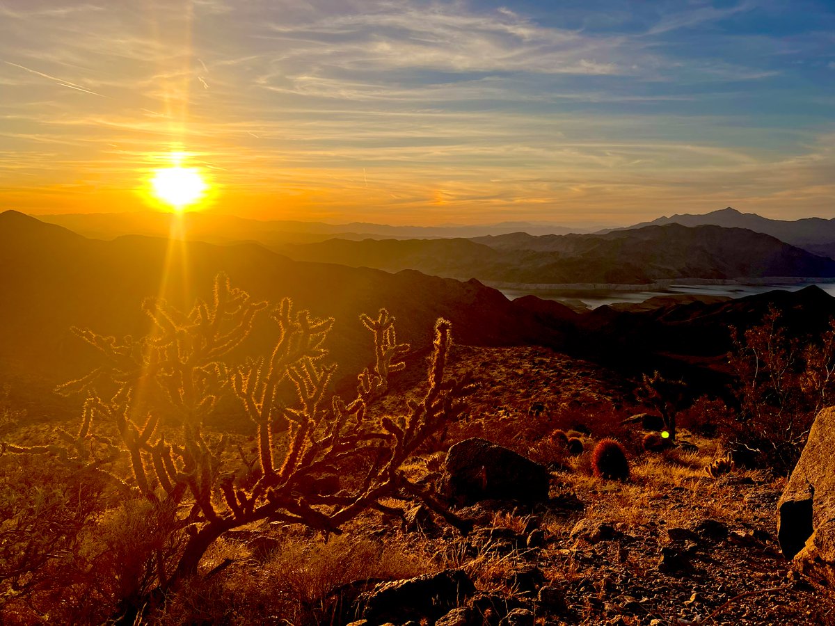 Flawwed1 tweet media