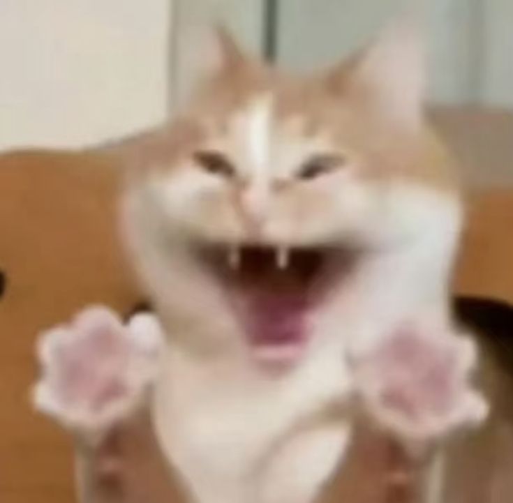 Z0MB#K3D tweet media