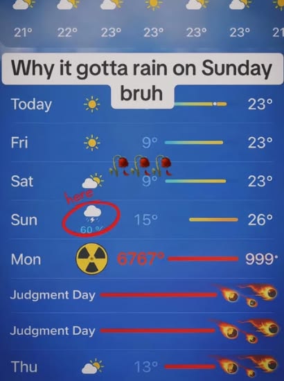 RottenKitty😼 tweet media