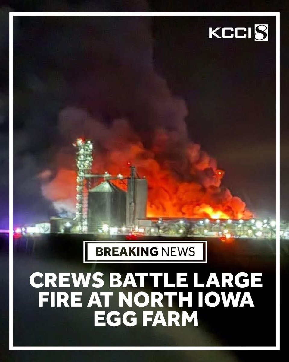 Heathen King tweet media