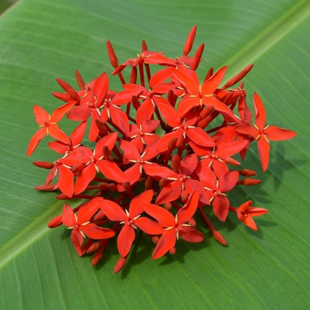 Meera K Iyer ☀️🦚 tweet media