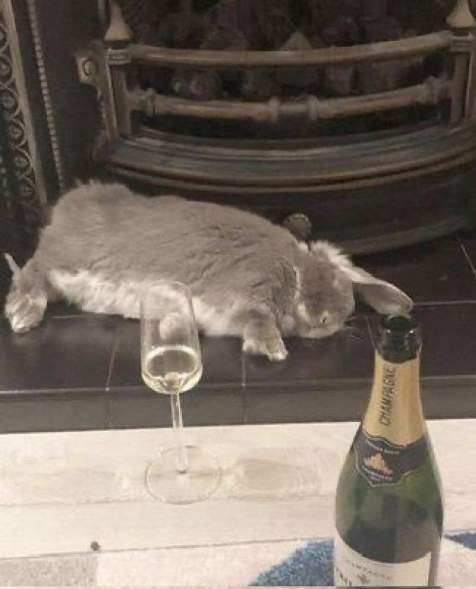 bunny tweet media