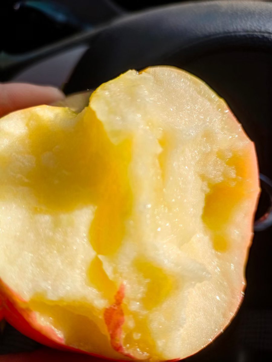 ORLANDO TORRICO S. tweet media