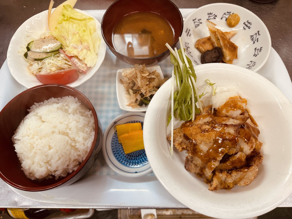 manganomusi1's tweet photo. 今日の定食は揚げ豚のおろしあんかけです https://t.co/eyfCl0fK9P