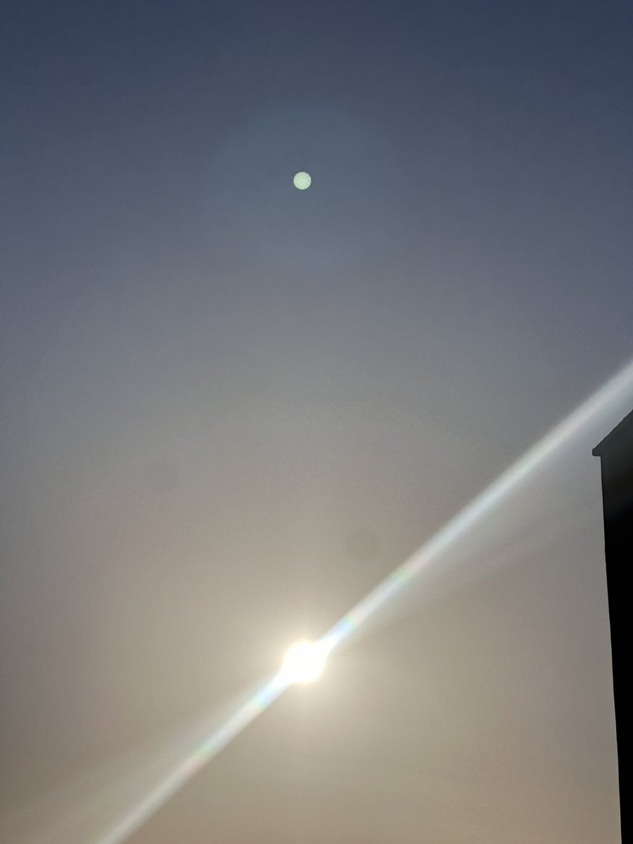 بسطام🌟 tweet media