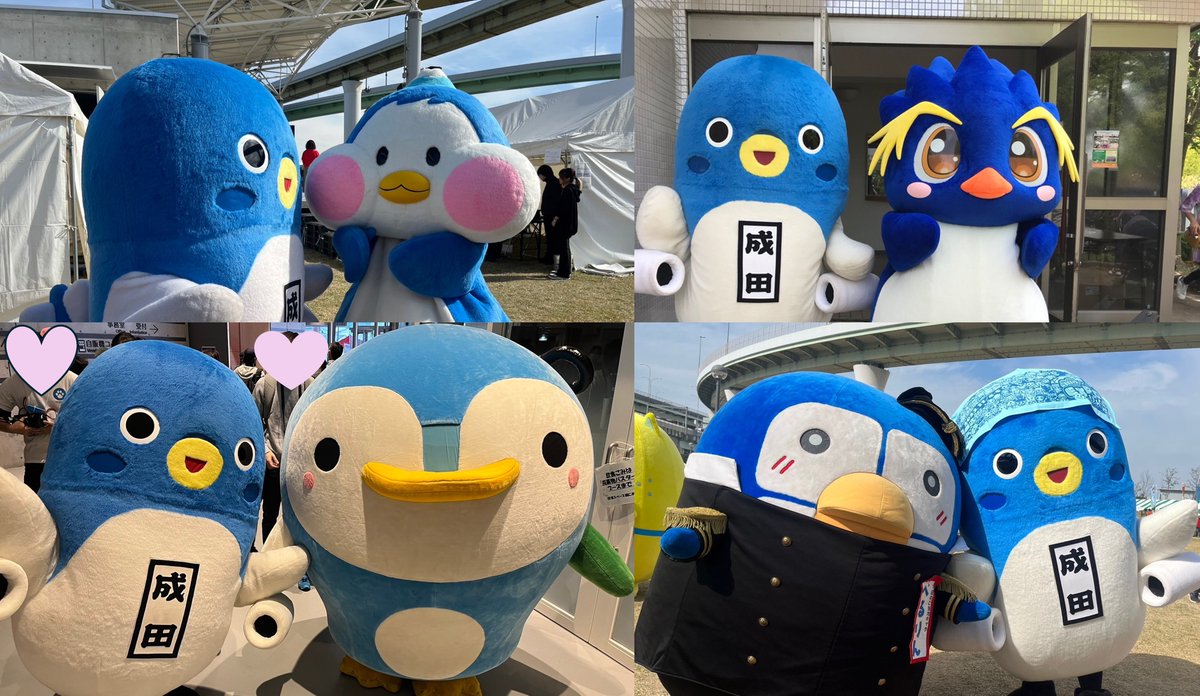 みんなおはよう～。今日は #世界ペンギンの日 だよ。
みんなによく、ペンギンに間違われるんだよね～。
ぼくってそんなに、似てるかなぁ？うな。
 #にかほっぺん #そんちょさん  #しらぺん #ぺるりん