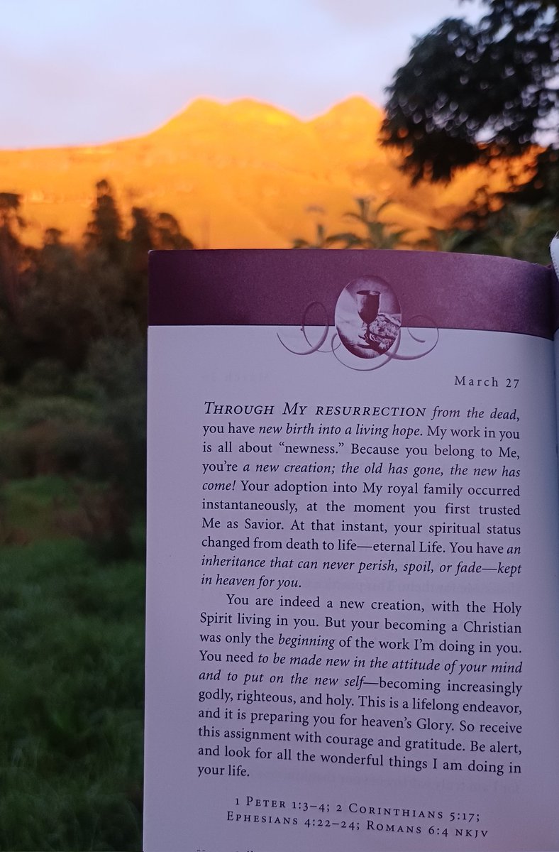 Monique van der KZN 🇿🇦 tweet media