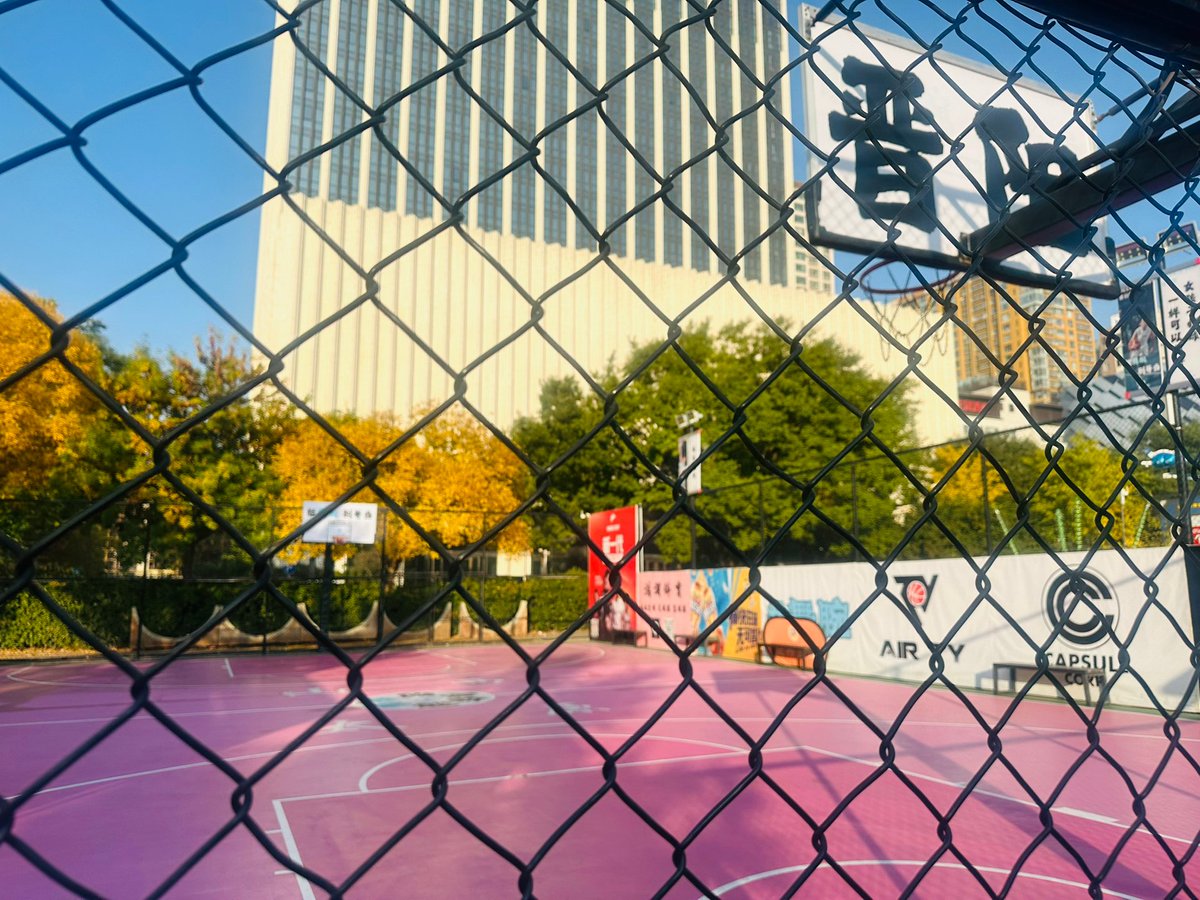 Zoeann bell tweet media