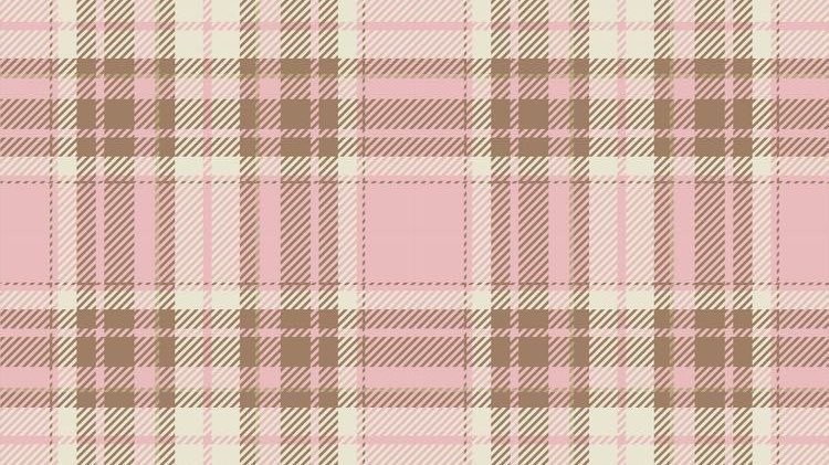 mia 🪽 tweet media