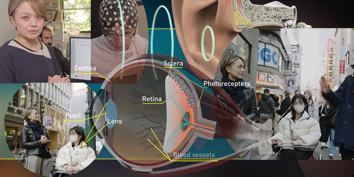 東京大学 | UTokyo tweet media