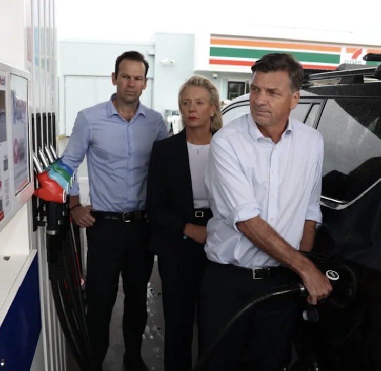 🏳️‍🌈 🏳️‍⚧️ 🇵🇸 🇺🇦 tweet media