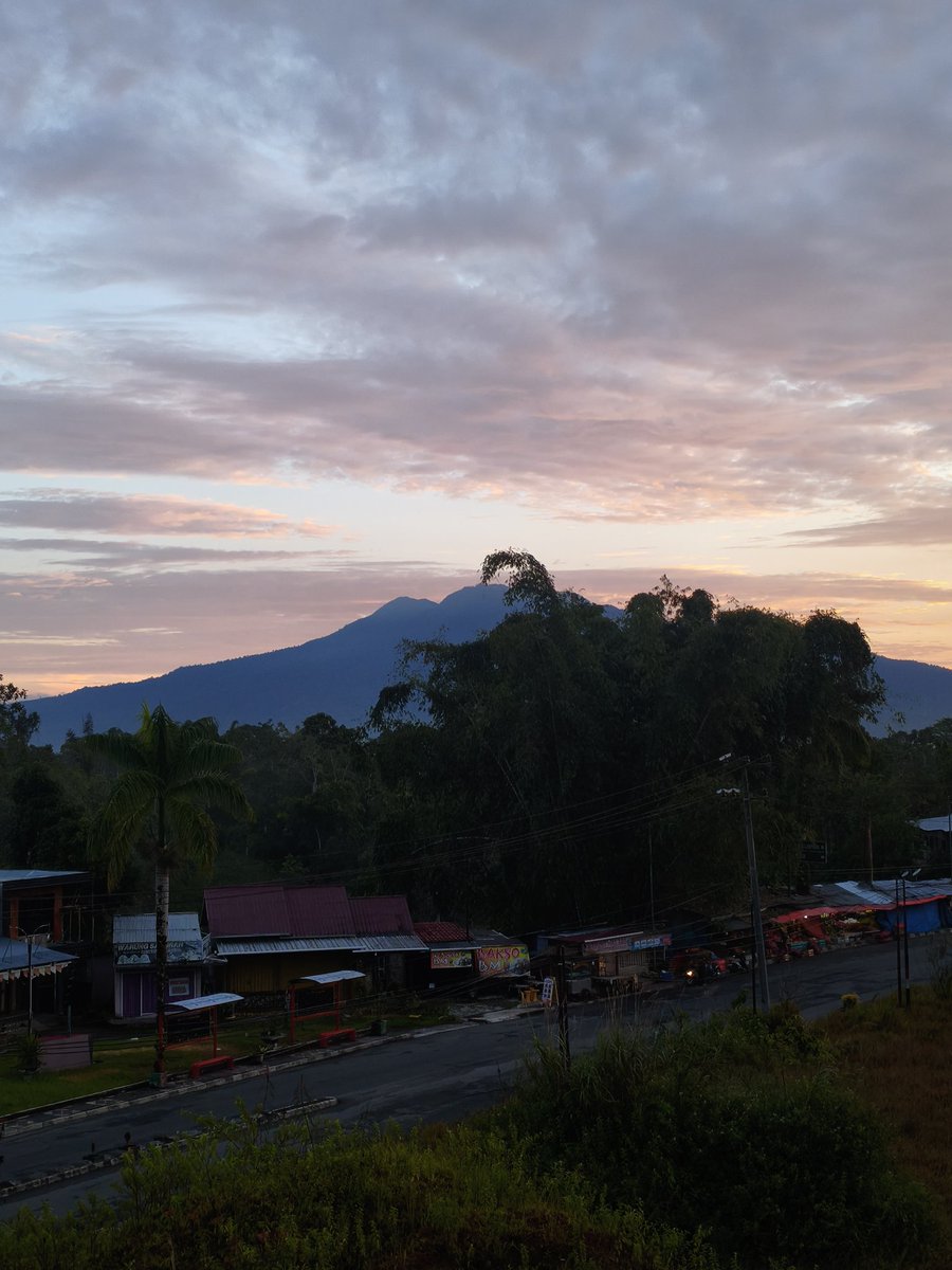 ina🐈‍⬛ tweet media