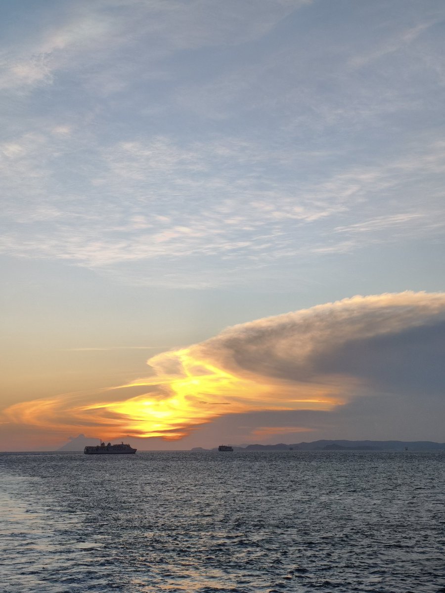 ina🐈‍⬛ tweet media