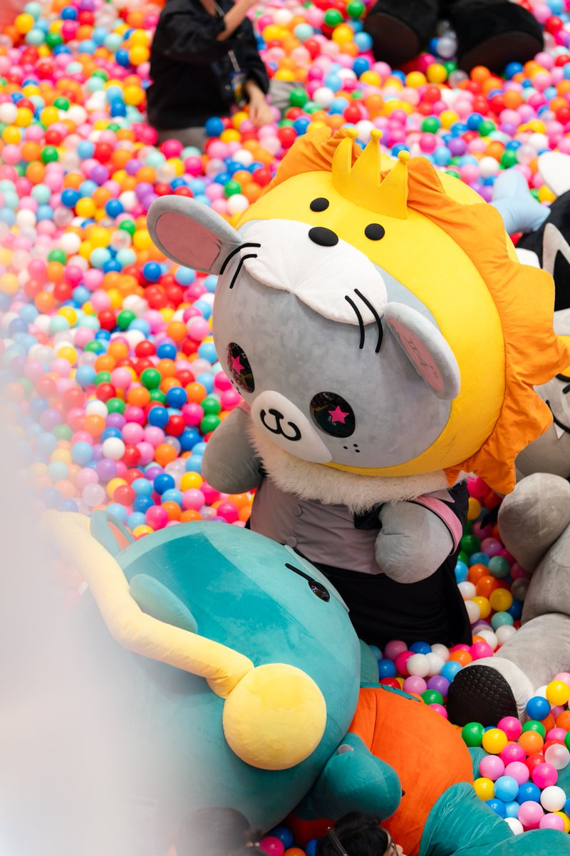 The Mall Lifestore tweet media