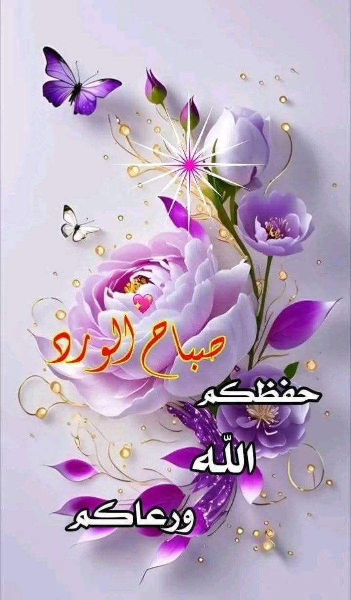 بوسعيد tweet media