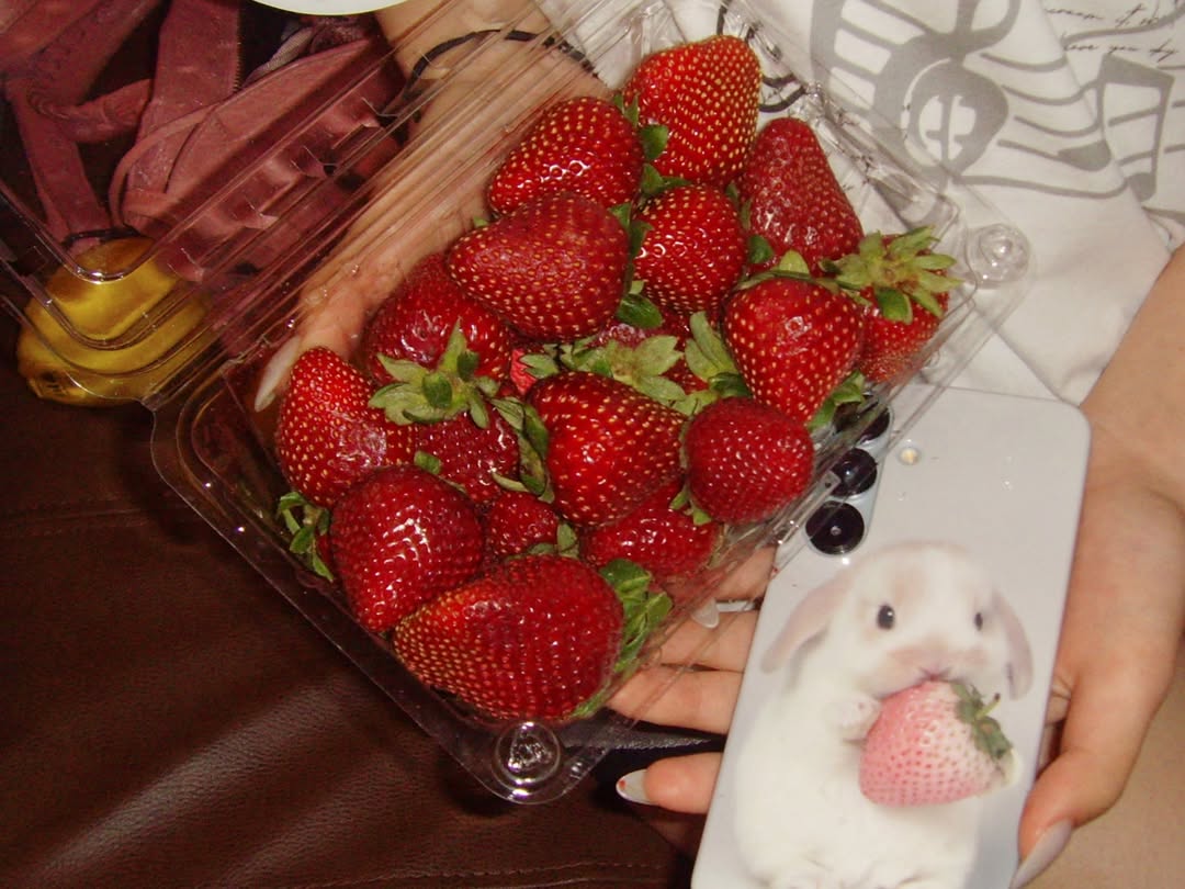 ️️ ️️️️️️ tweet media