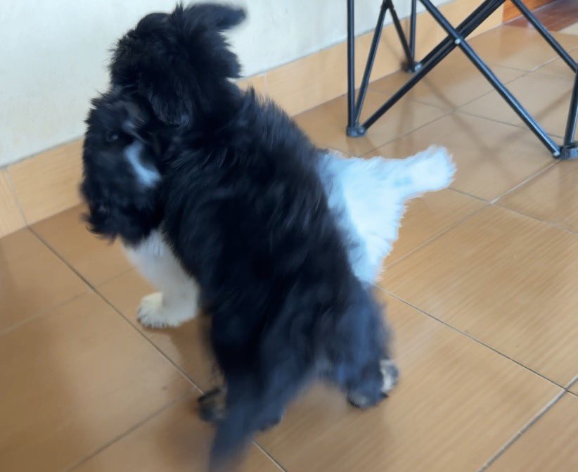 มุเล้ก tweet media