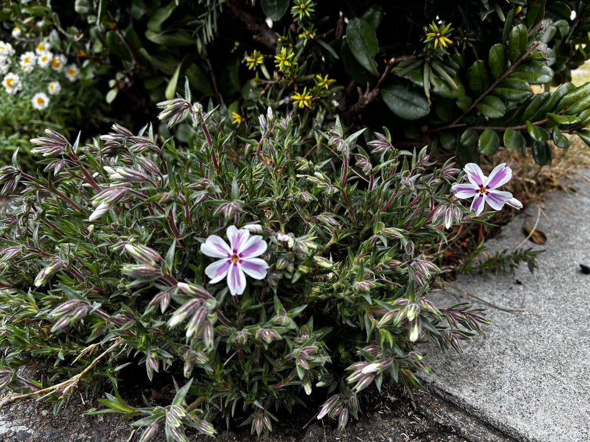 ㈱グリーンシステム【公式】武蔵野市のリフォーム会社 tweet media