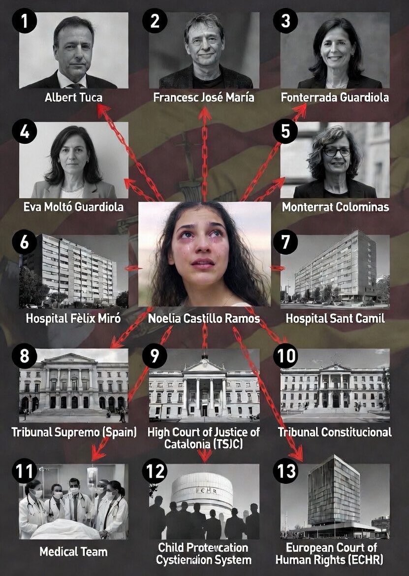 ForMyChildren 🇦🇺 tweet media