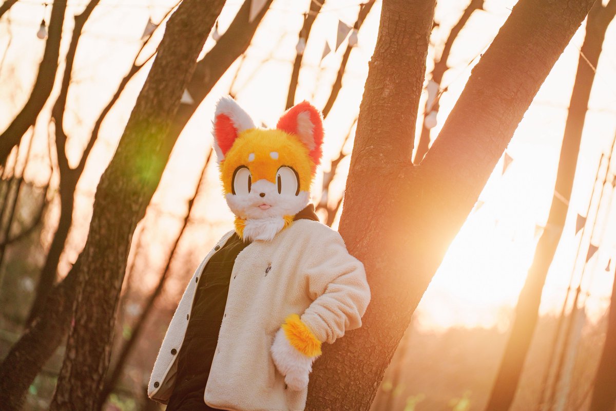 Miwool_'s tweet photo. #FursuitFriday #fursuit 
뒤에 보이는 햇빛처럼
너를 밝혀주는 빛이 될게 https://t.co/CSCN6j7iRA