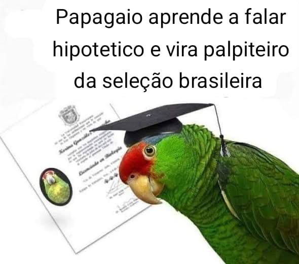 gc ᶜᵃᵐ tweet media