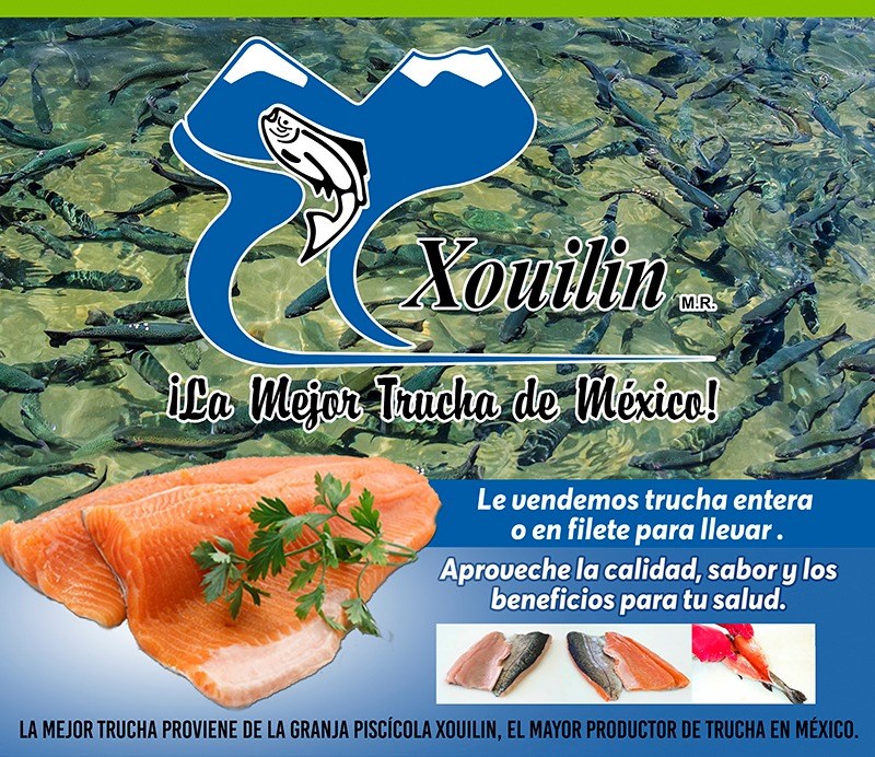 Xouilin's tweet photo. 🐟🌿 Estas Vacaciones vive una grata experiencia en familia en Granja Piscícola Xouilin.

Conoce todo sobre la trucha arcoíris, dales comer y descubre esta opción muy nutritiva para tu alimentación.

📍 Abierto los 365 días del año.
🌐 https://t.co/0MbD2nAbt3
📞 (244) 4440-129 https://t.co/TYC0uJvkN1