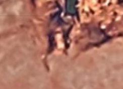 Amrita 🪶 tweet media