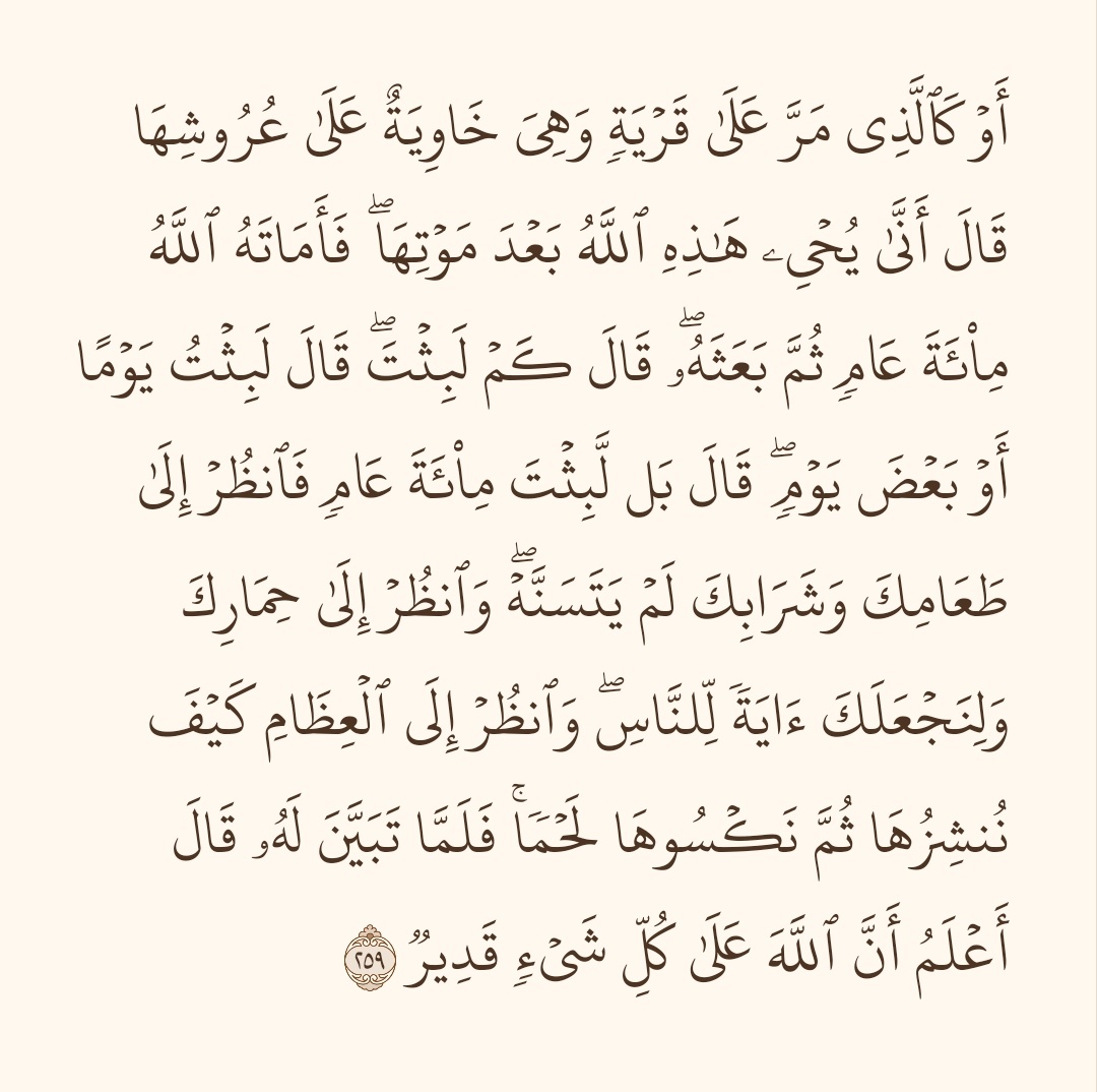 Pineapple tweet media