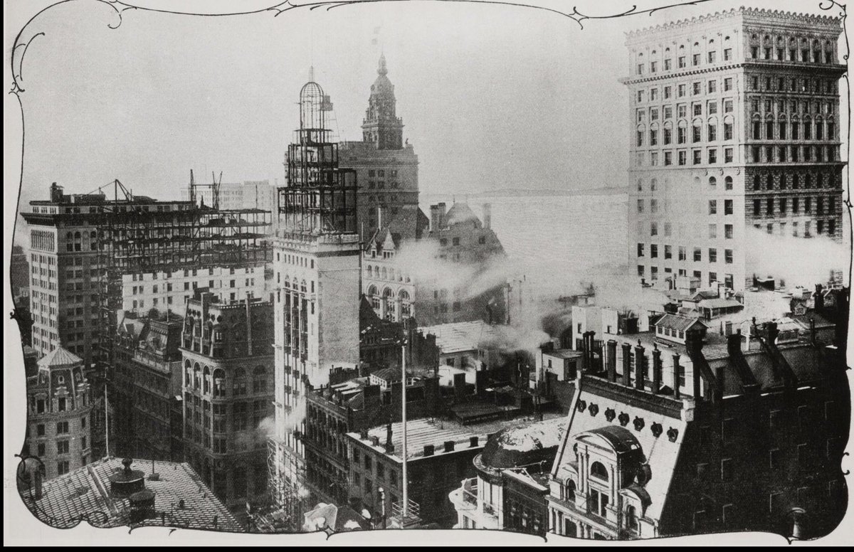 枫叶留声机 tweet media