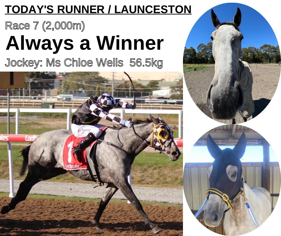 ayano0323's tweet photo. 今夜はLaunceston競馬場でレースが行われます。7レース目にAlways a Winnerが出走を予定しています！連闘になります！Good luck First くん🏇✨ https://t.co/r8mtYnc3uP