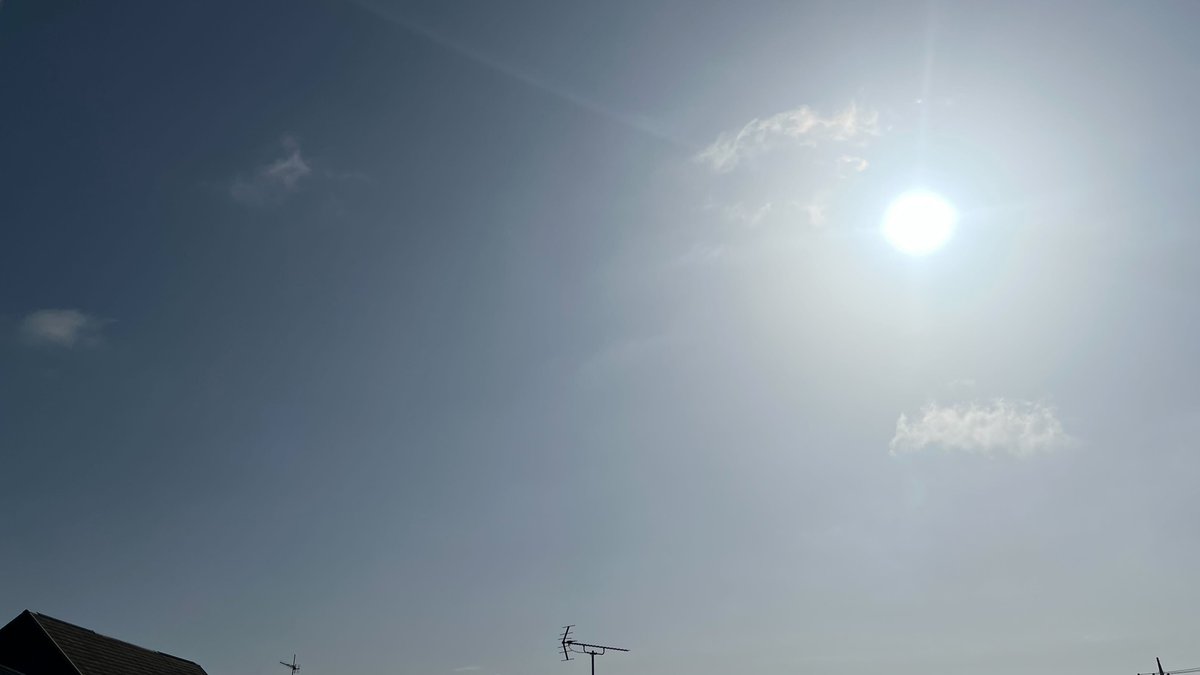 (株)エンボリック【公式】 tweet media