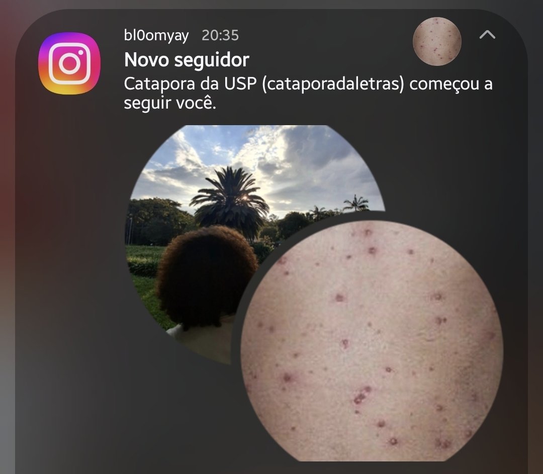 bloom garfield da fflch 💥 tweet media