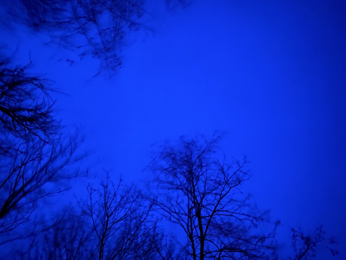 pondaroski's tweet image. 20260315 35°F A Quiet Sunday Night Bonfire In Solitude During These Un-Normal Times, Motel Z, Jacksonville, NY. 
#pondaroski
#joeziolkowski
#trajectoryportfolio
#unnormal
#selfportrait
#lostlovedones
#bonfire
#blazin
#cloudappreciationsociety
#stratocumulusclouds
#time
#artishard
