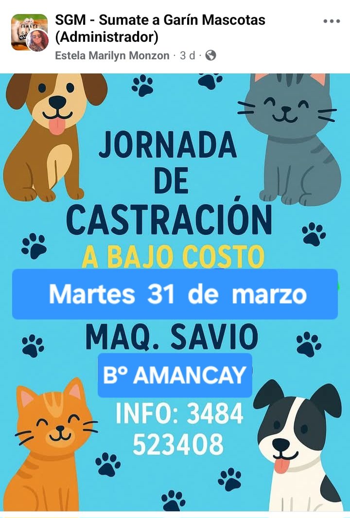 protegealanimal's tweet photo. ESCOBAR
#ESCOBAR #INGMASCHWITZ #MASCHWITZ #INGENIEROMASCHWITZ #GARÍN #MATHEU #MAQUINISTASAVIO #MAQSAVIO #SAVIO #BARRIOAMANCAY #BELÉNDEESCOBAR #LOMAVERDE #ZONANORTE #GRANBSAS #BSAS https://t.co/4y5Ew8kkZh