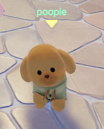 playwithmiya's tweet photo. poopie the poodle https://t.co/xBSJgjUydz