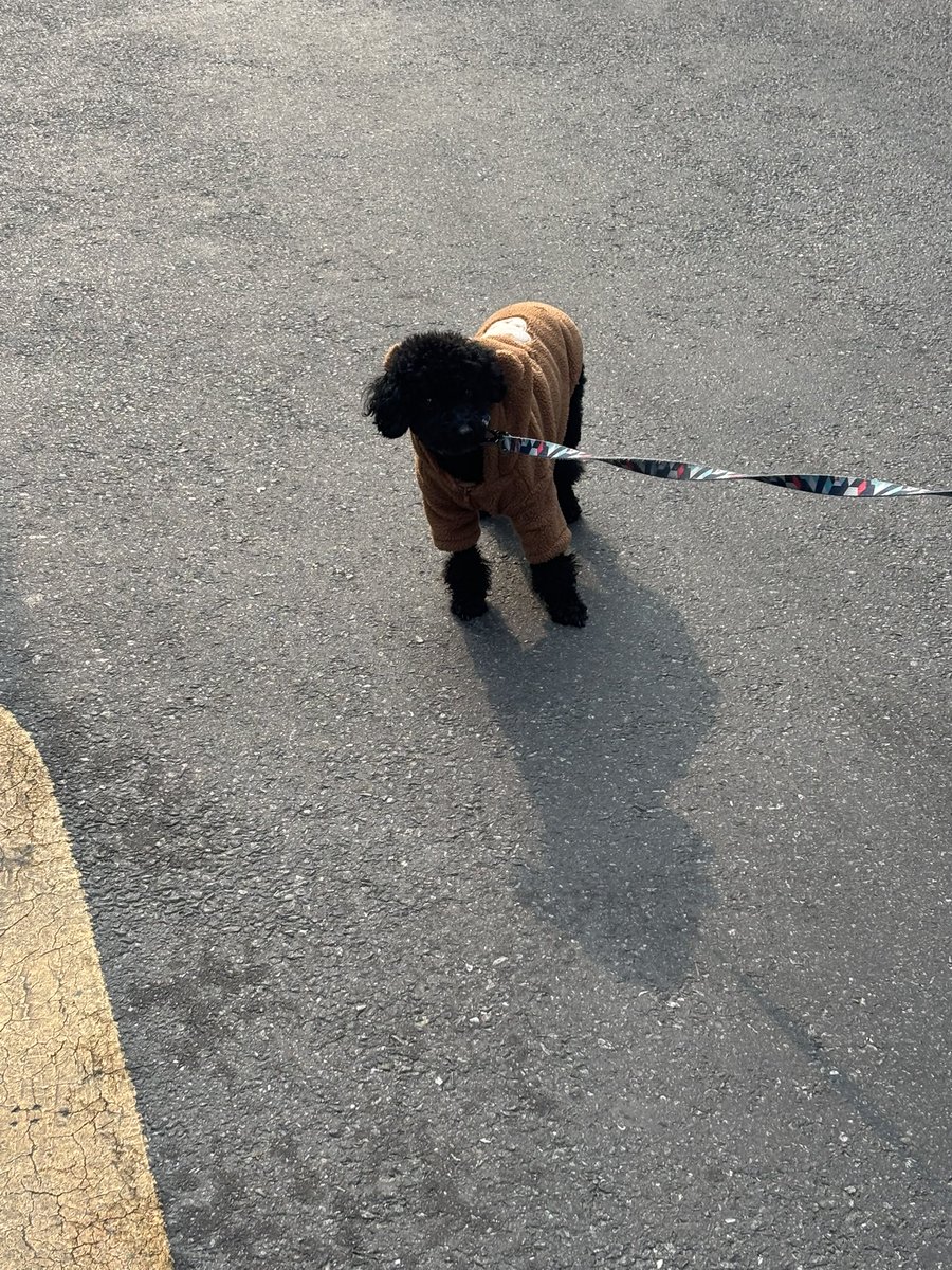 Nothing(상태:JH32) tweet media