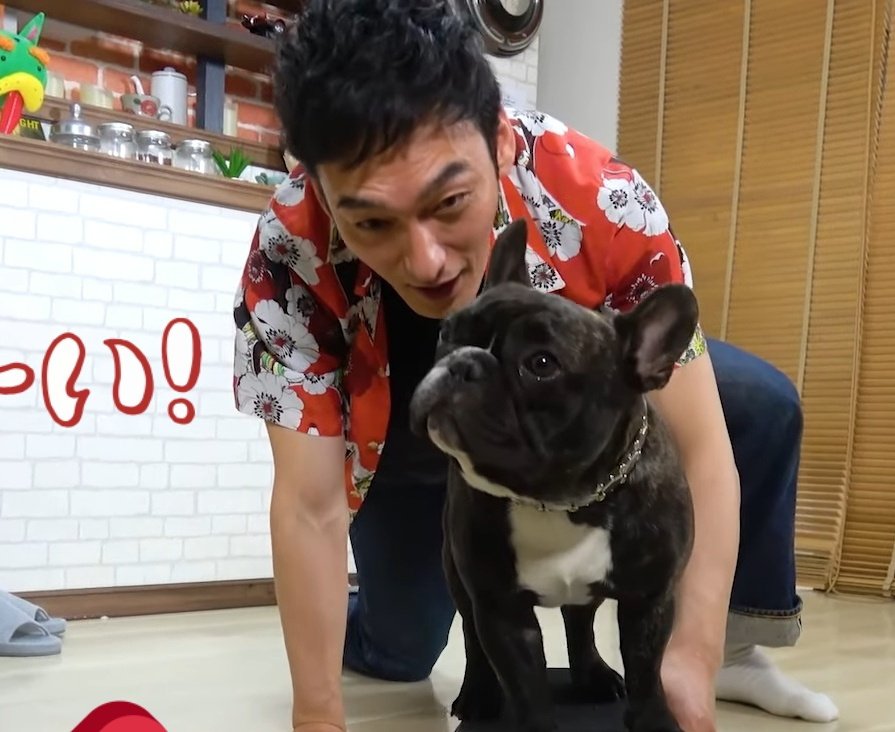 あっき〜 tweet media